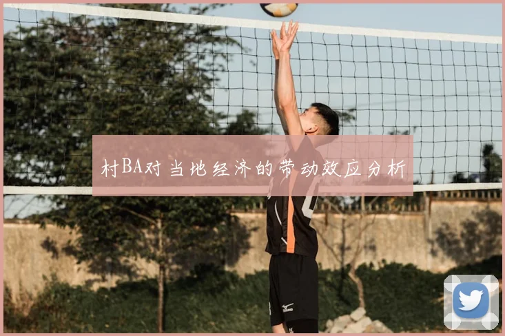村BA对当地经济的带动效应分析